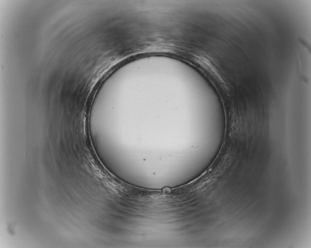 X0000100881268200807071117