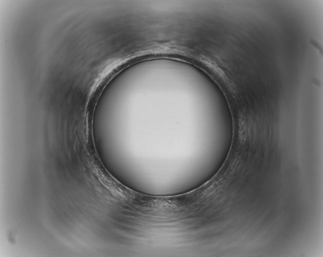 X0000100881270200807071117