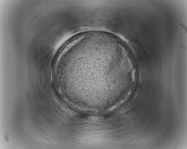 X0000100881271200807071117