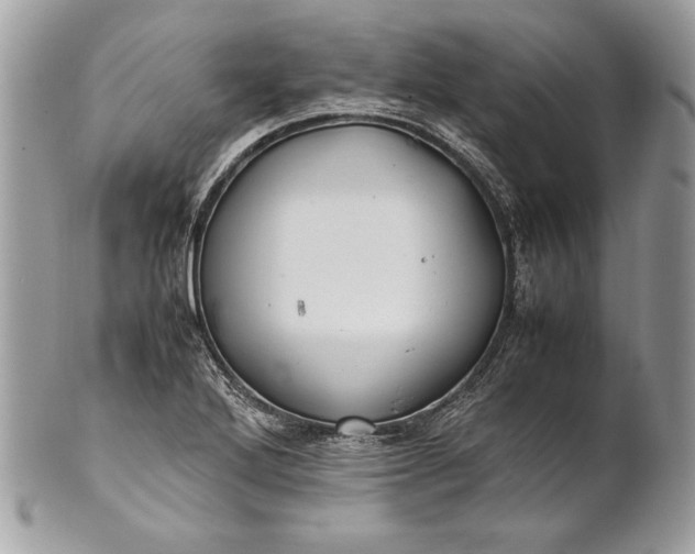 X0000100881272200807071117