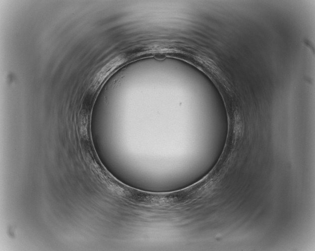 X0000100881273200807071117