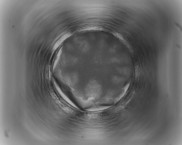 X0000100881274200807071117