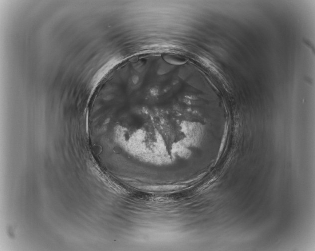 X0000100881275200807071117