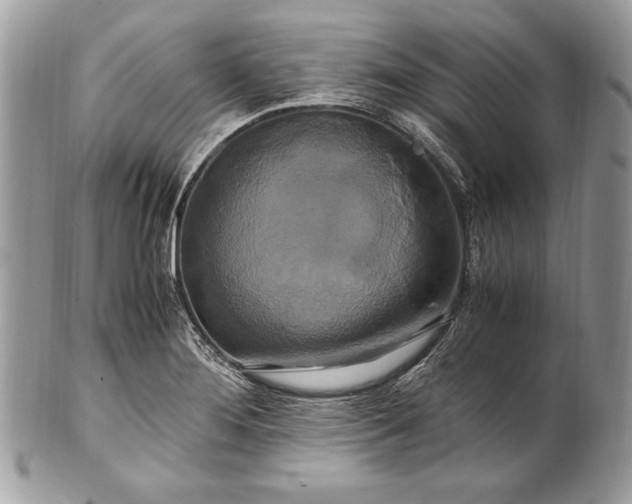 X0000100881276200807071117