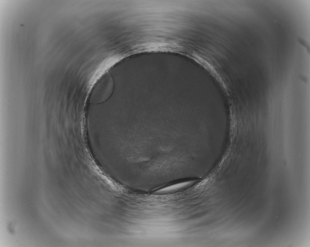 X0000100881277200807071117