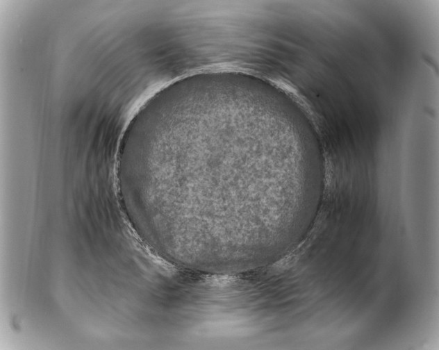 X0000100881278200807071117