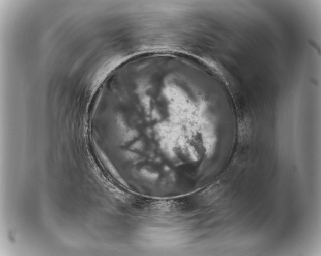 X0000100881279200807071117