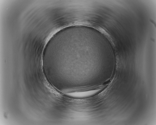 X0000100881280200807071117