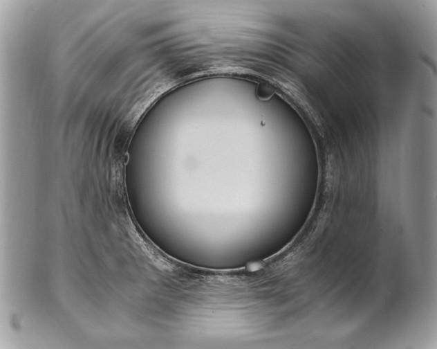 X0000100881281200807071117