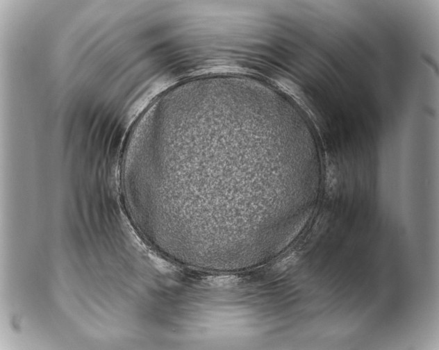 X0000100881282200807071117