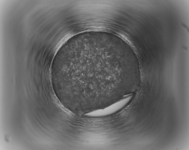 X0000100881283200807071117