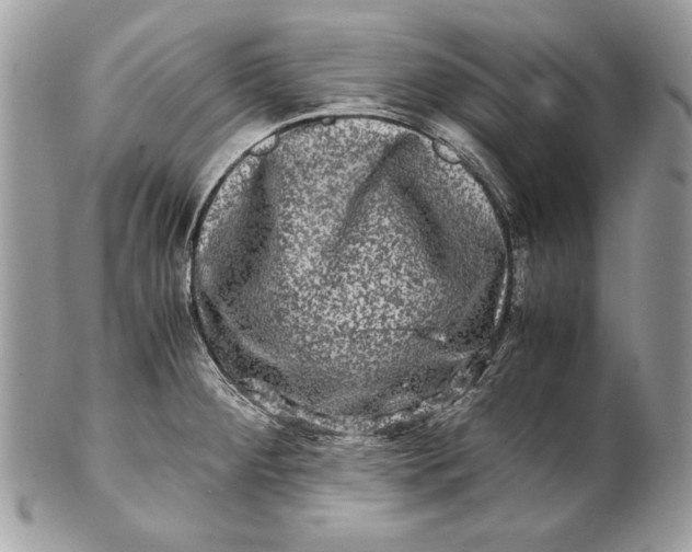 X0000100881284200807071117