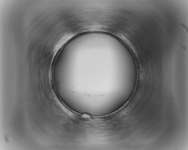 X0000100881285200807071117