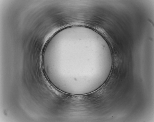 X0000100881286200807071117