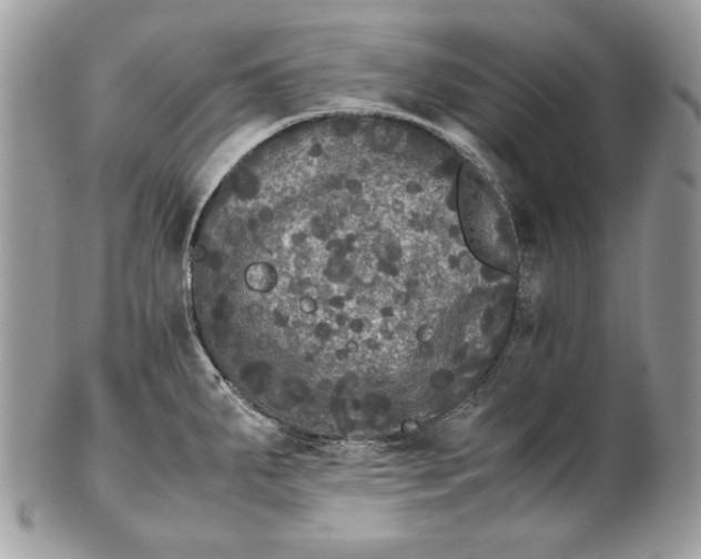 X0000100881287200807071117