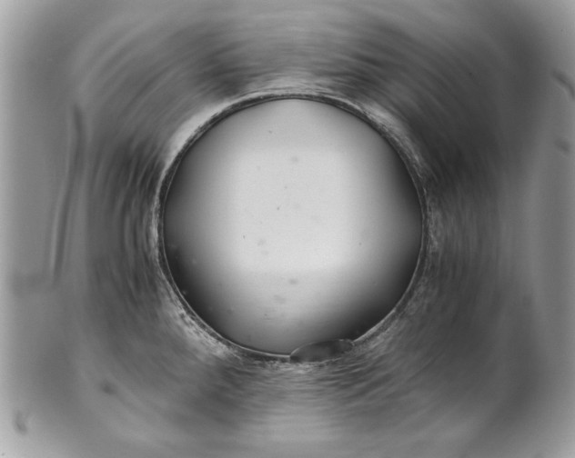 X0000100881288200807071117