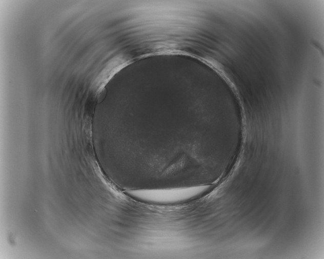 X0000100881289200807071117