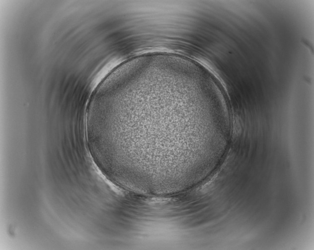 X0000100881290200807071117