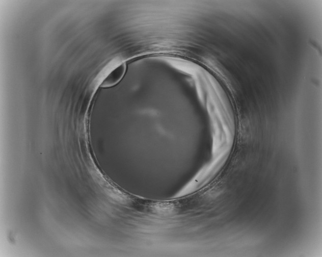 X0000100881291200807071117