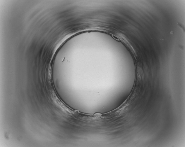 X0000100881292200807071117