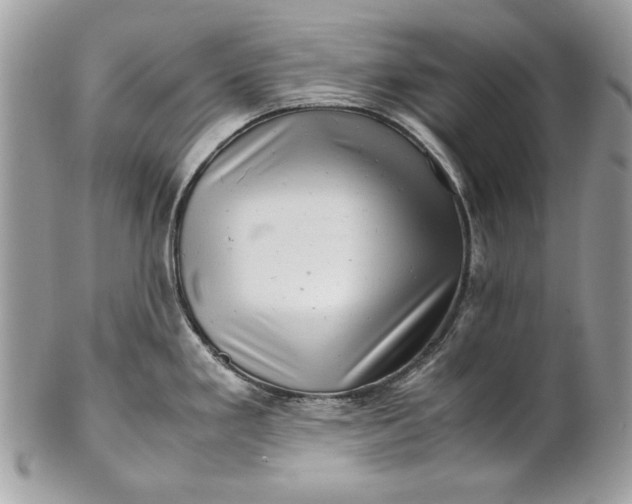 X0000100881293200807071117