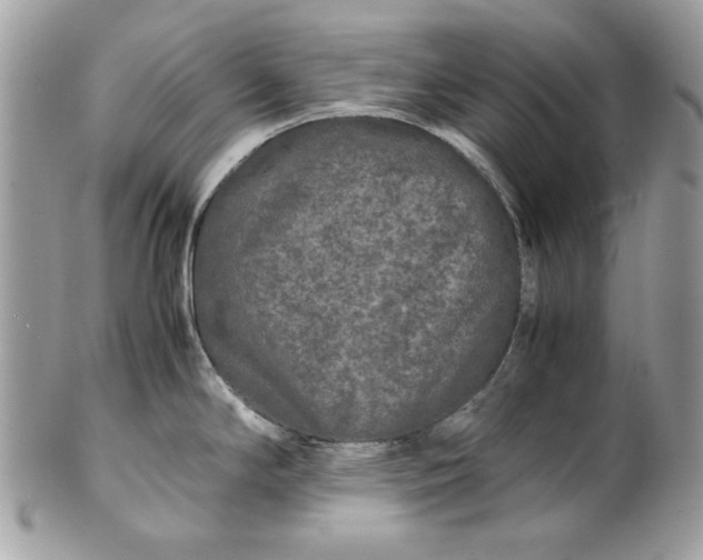 X0000100881294200807071117