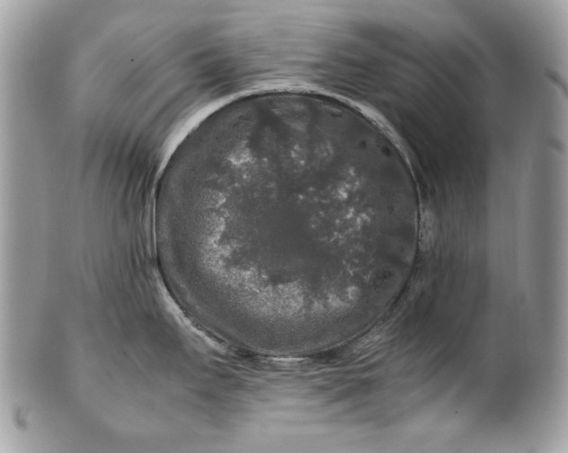 X0000100881295200807071117