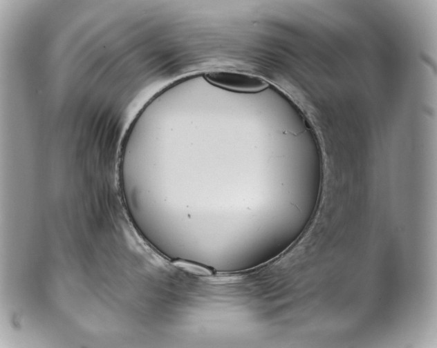 X0000100881296200807071117