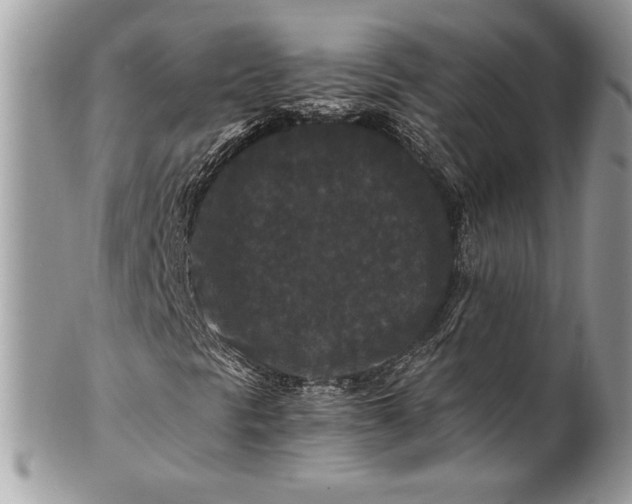 X0000100881297200807071116