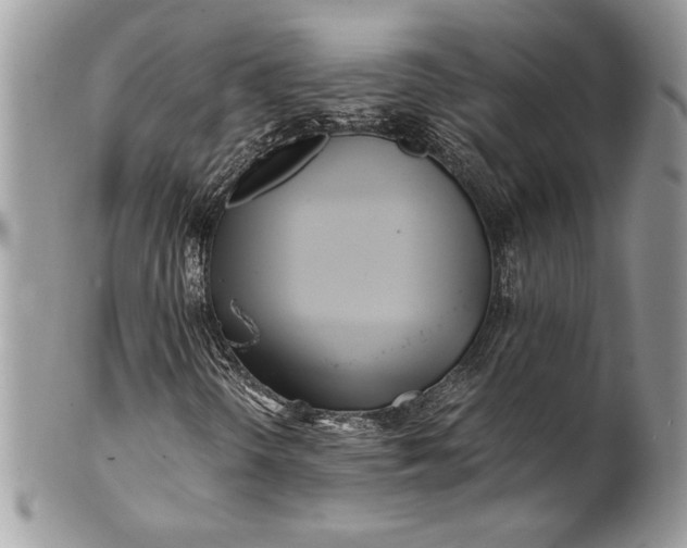 X0000100881298200807071116