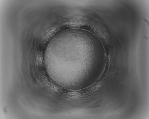 X0000100881300200807071116