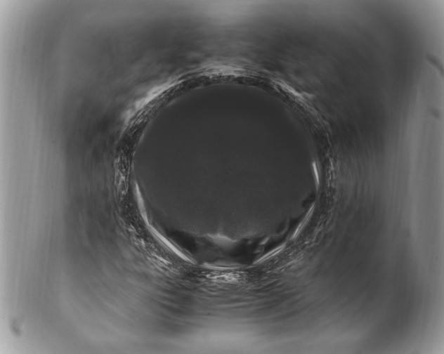 X0000100881303200807071116