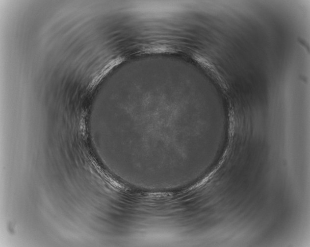 X0000100881305200807071116