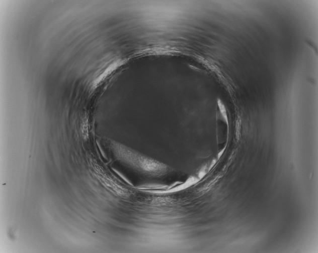 X0000100881306200807071116