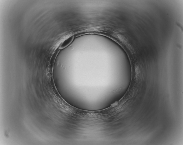 X0000100881308200807071116