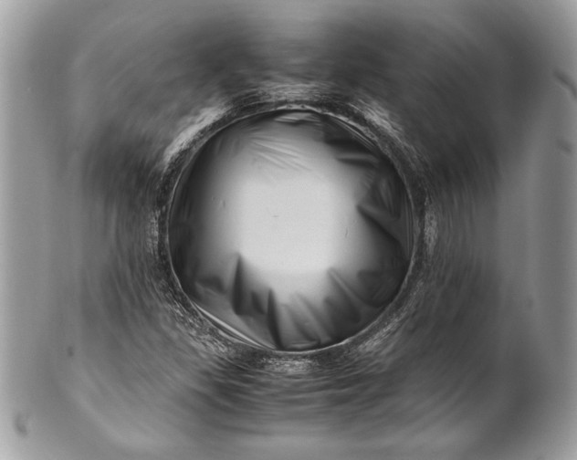 X0000100881309200807071116