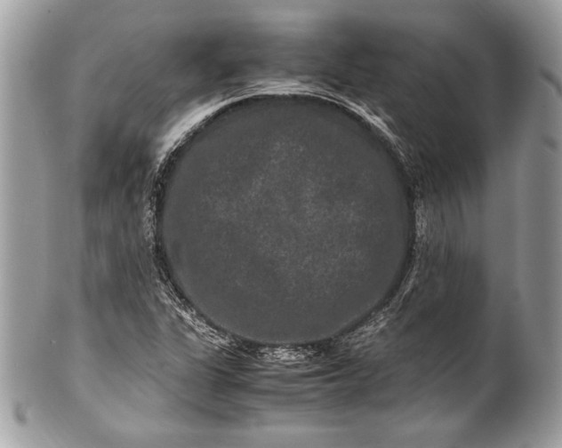 X0000100881311200807071116