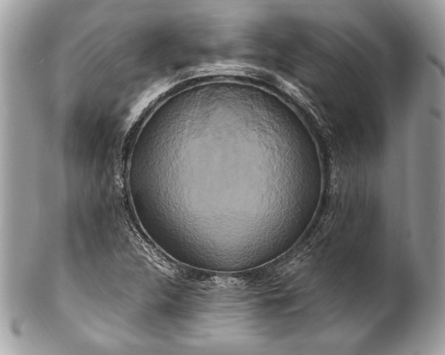 X0000100881312200807071116