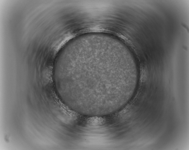 X0000100881314200807071116