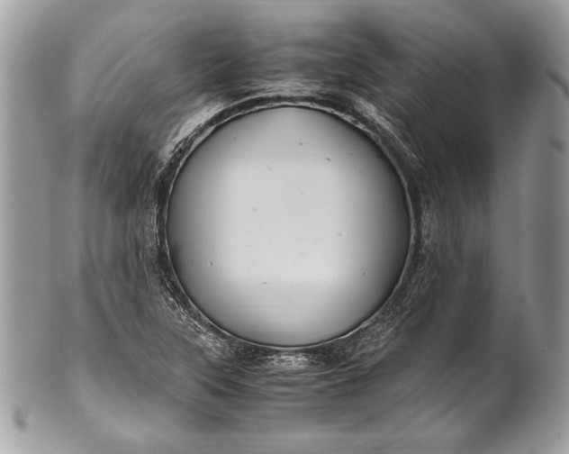 X0000100881315200807071116