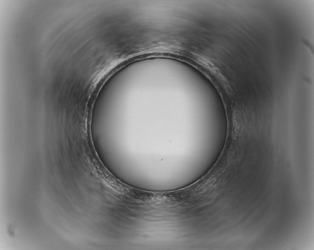 X0000100881316200807071117