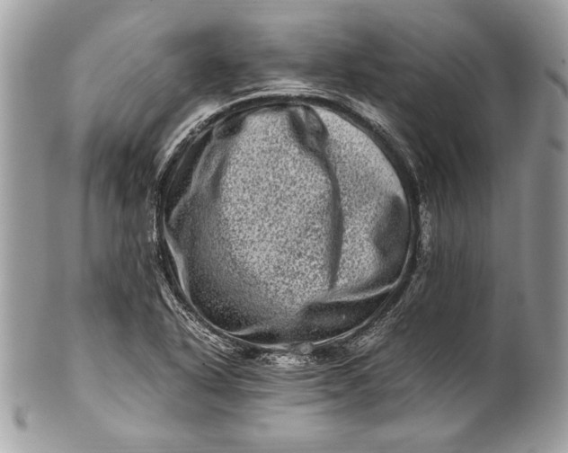 X0000100881318200807071117