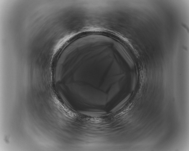 X0000100881319200807071117