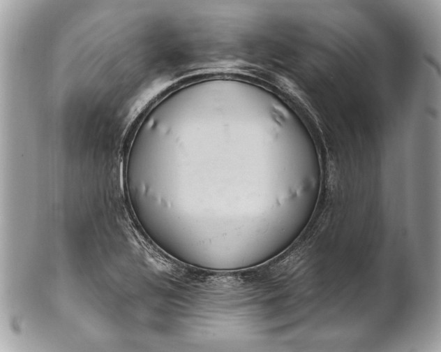 X0000100881320200807071117