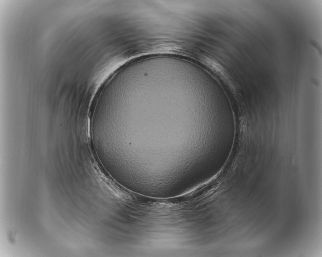 X0000100881324200807071117