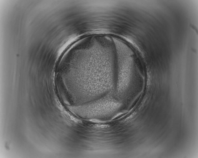 X0000100881325200807071117