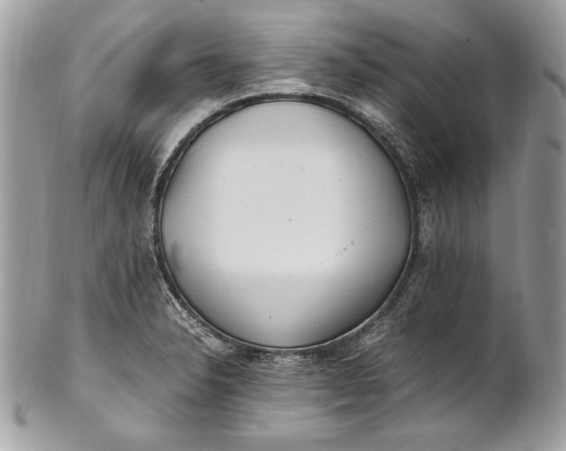 X0000100881326200807071117