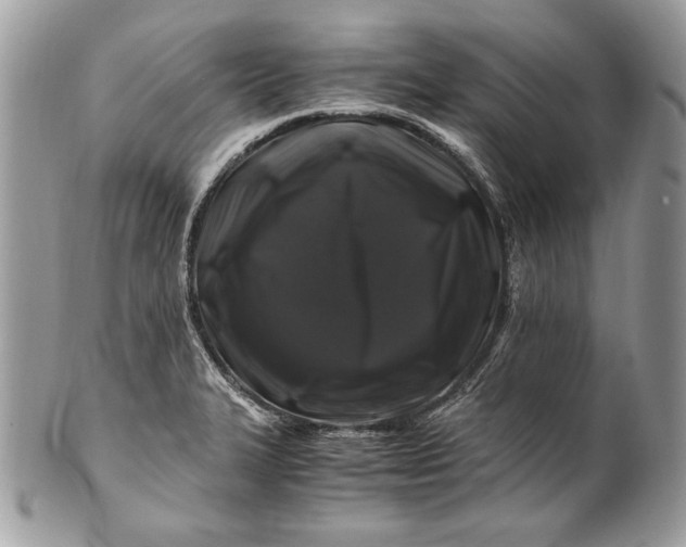 X0000100881327200807071117