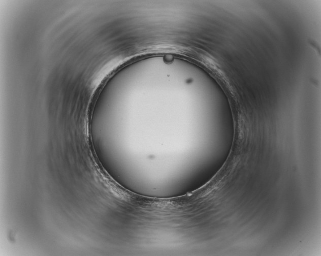 X0000100881328200807071117