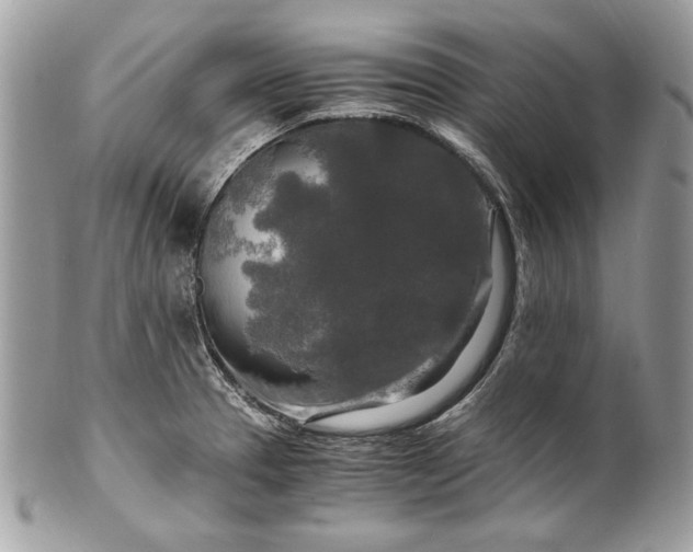 X0000100881329200807071117